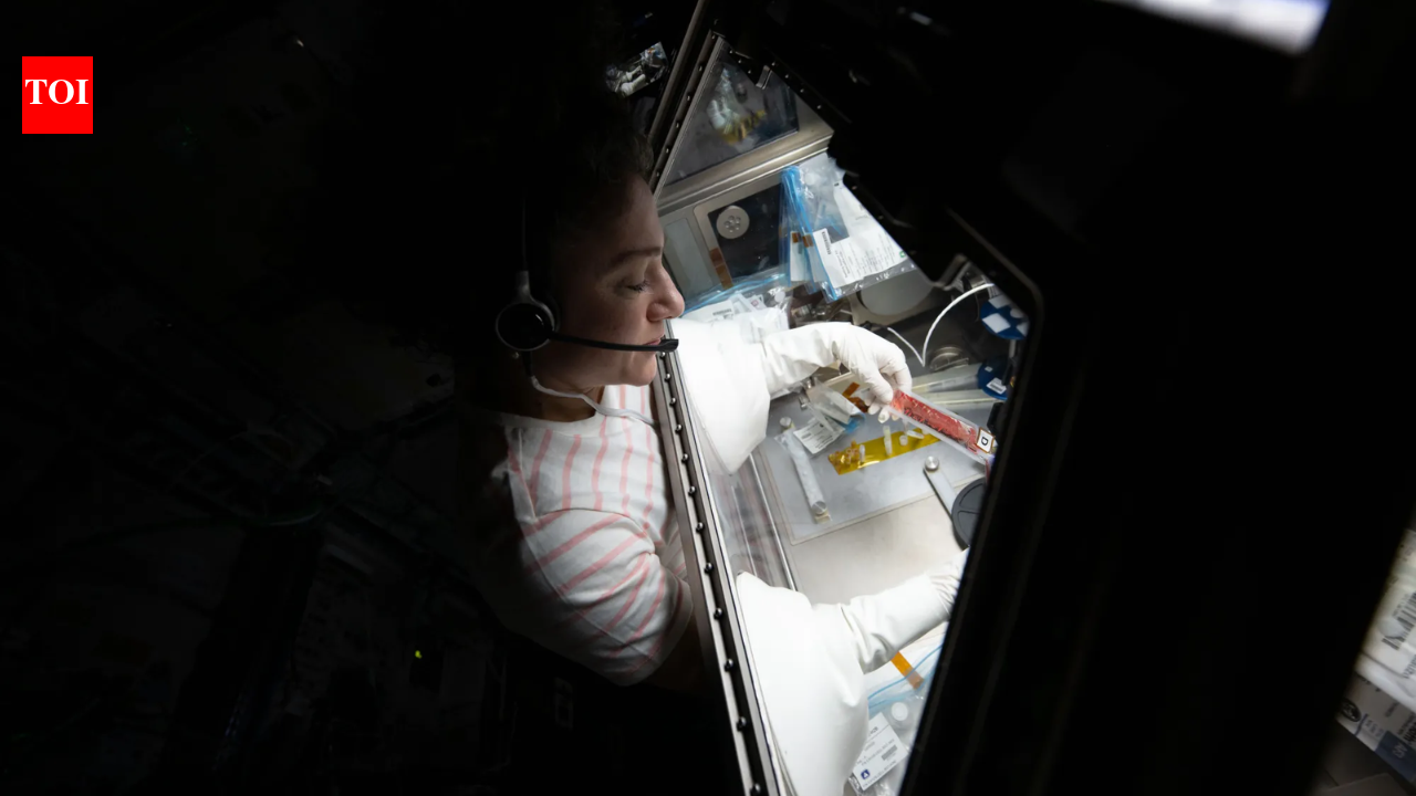 Why scientists are sending stem cells to space to fight cancer and deadly diseases