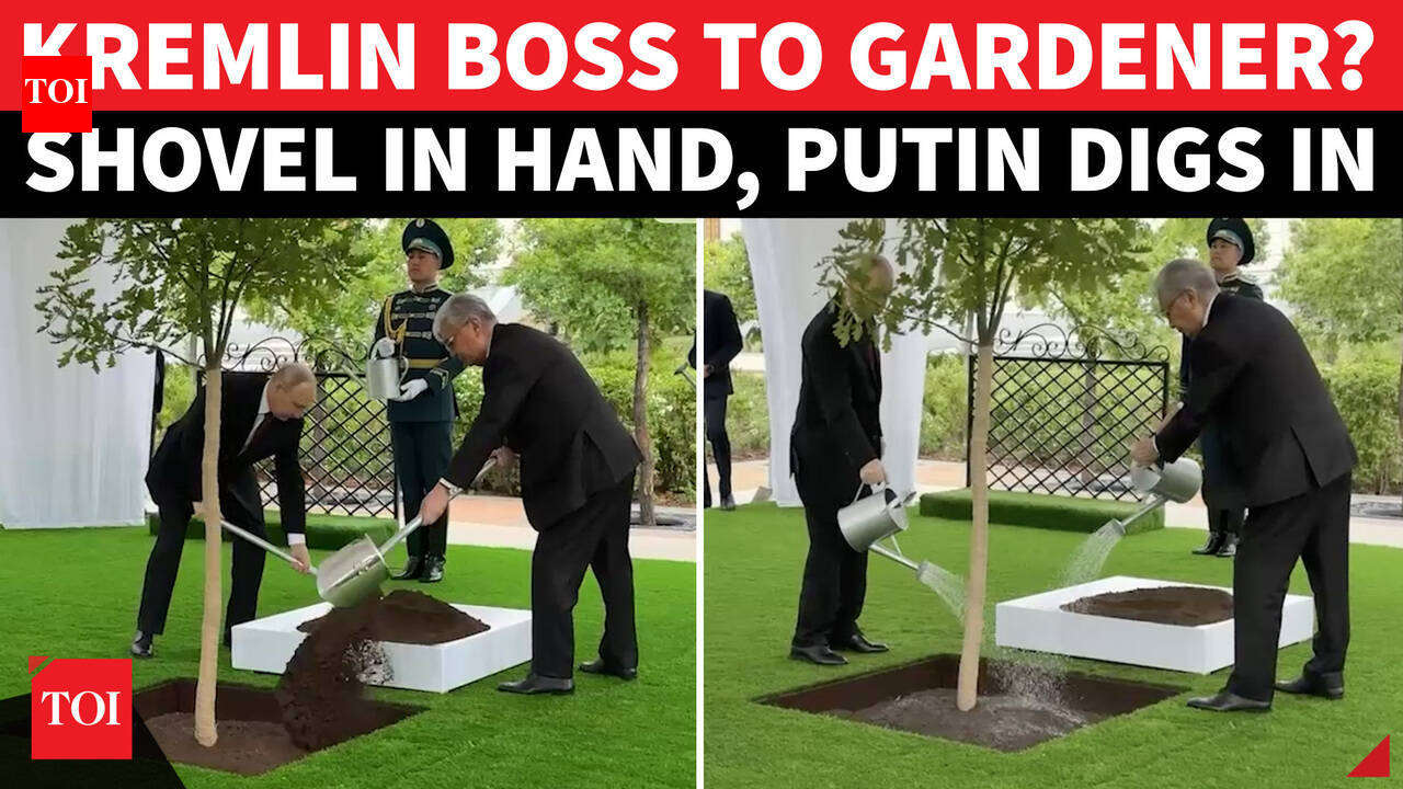 Putin The Worker? Russian President Caught Doing “Heavy Labour” With Shovel In Hand | WATCH