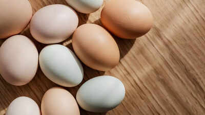 Poor quality eggs reaching Anganwadis: Study