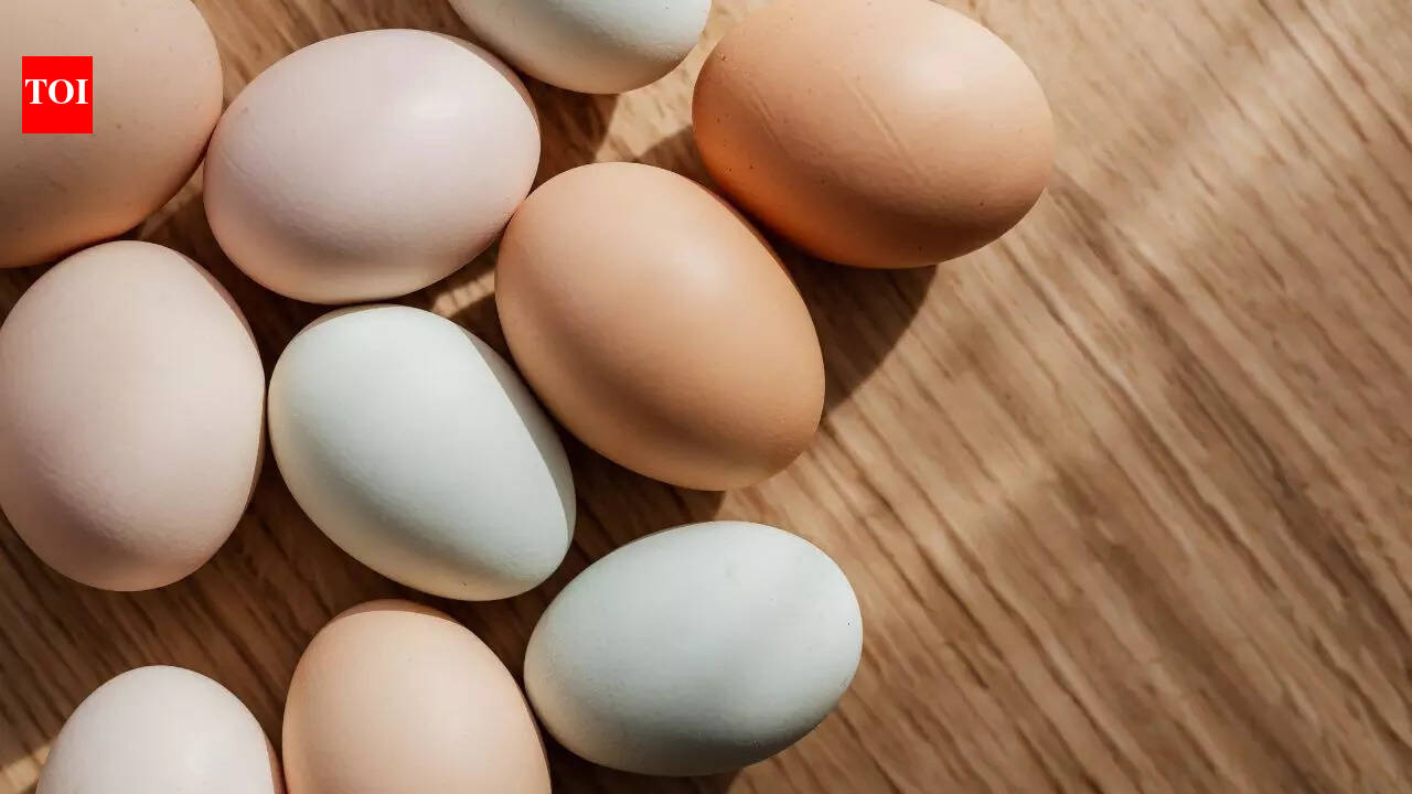 Poor quality eggs reaching Anganwadis: Study