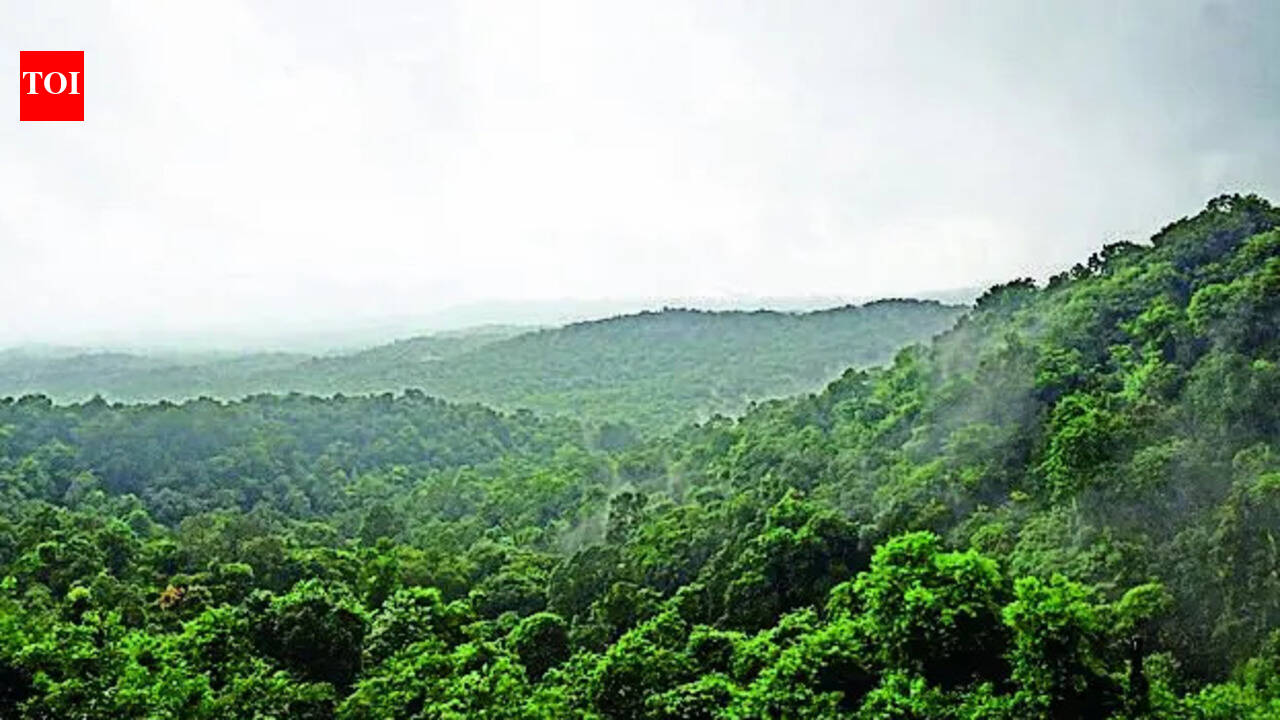 Chikkamagaluru prepares for upcoming monsoon crisis