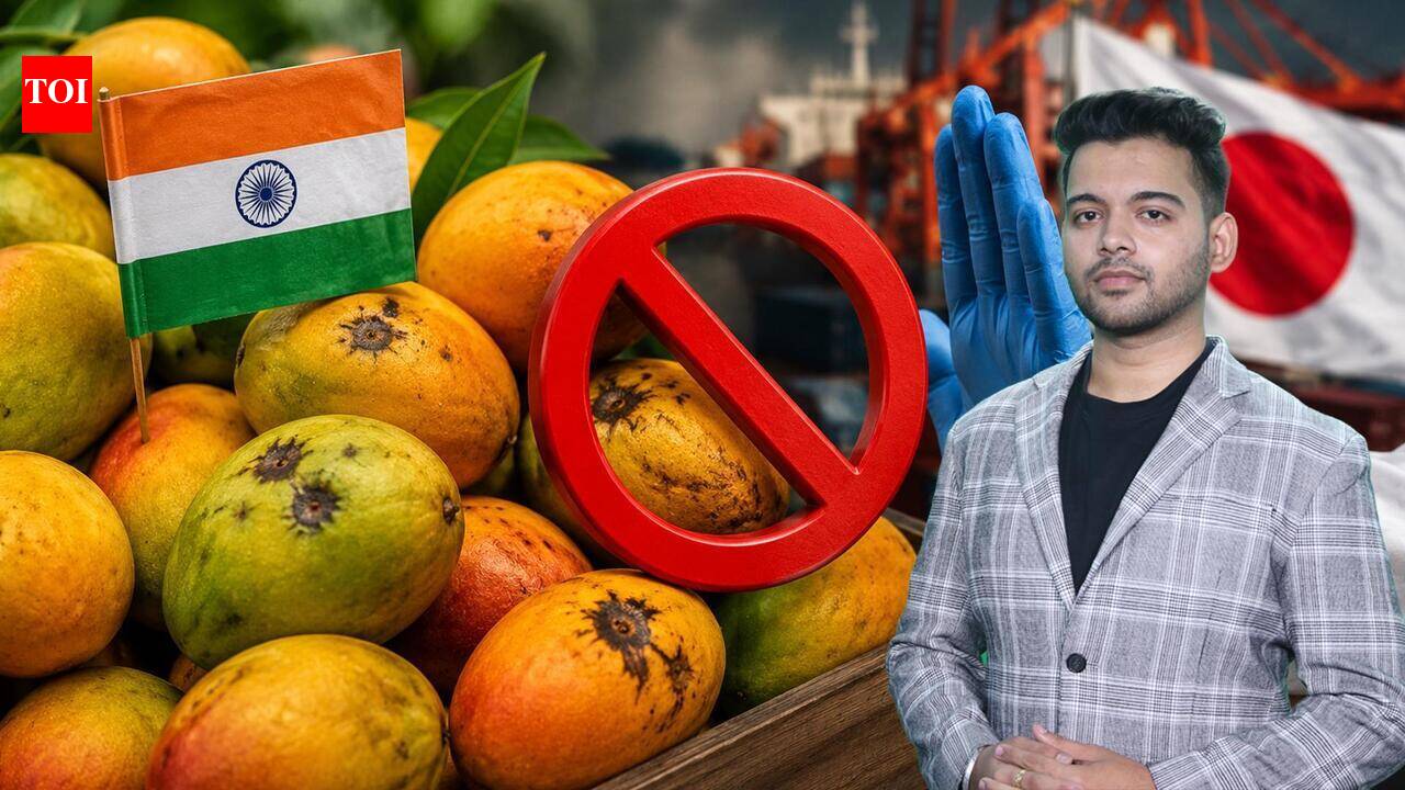Why Japan Banned Indian Mango Shipments, Alphonso &amp; Kesar Exports Face Major Crisis?