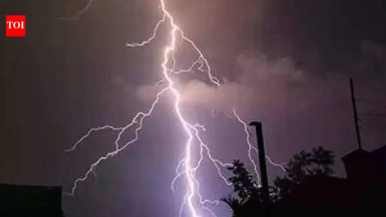 7 killed in lightning strikes across Bihar; CM Samrat Choudhary announces Rs 4 lakh ex gratia
