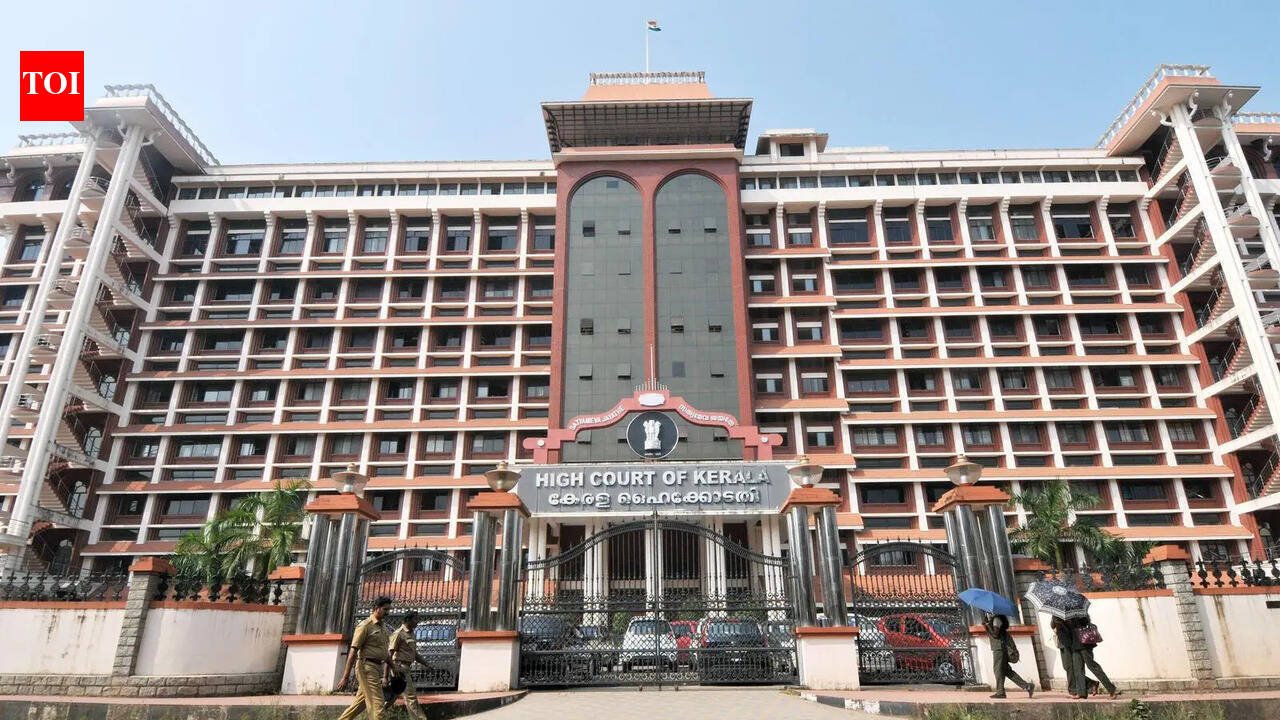 Kerala HC adjourns viral Kumbh Mela girl’s anticipatory bail plea to June 2