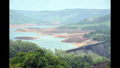 Koyna dam storage down to 16.15%; power generation curtailed