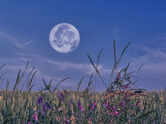 Why this weekend&rsquo;s full moon is the smallest and rarest of 2026