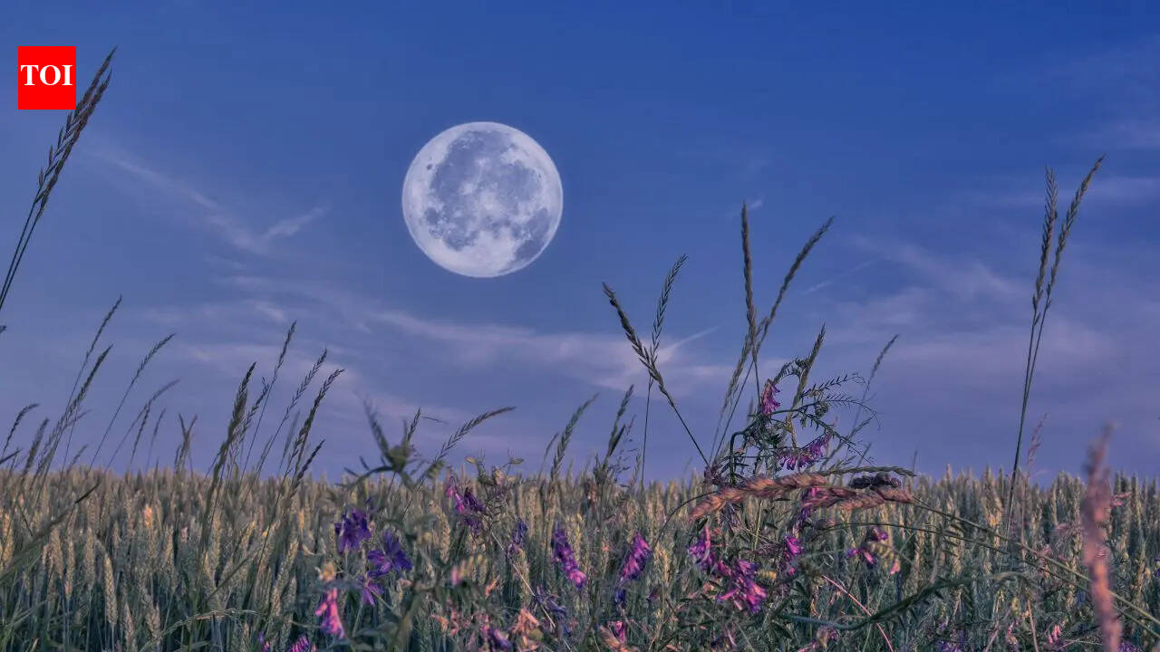Why this weekend’s full moon is the smallest and rarest of 2026