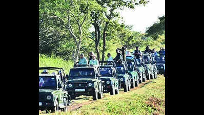 Kaziranga sets new record: 4.68 lakh visitors in 2025-26