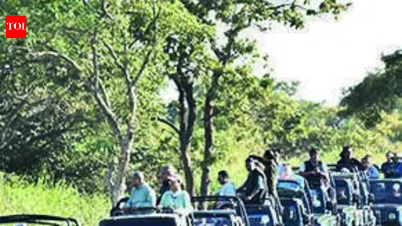 Kaziranga sets new record: 4.68 lakh visitors in 2025-26