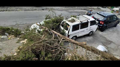 Storm uproots trees, damages buildings in Mussoorie and Dehradun
