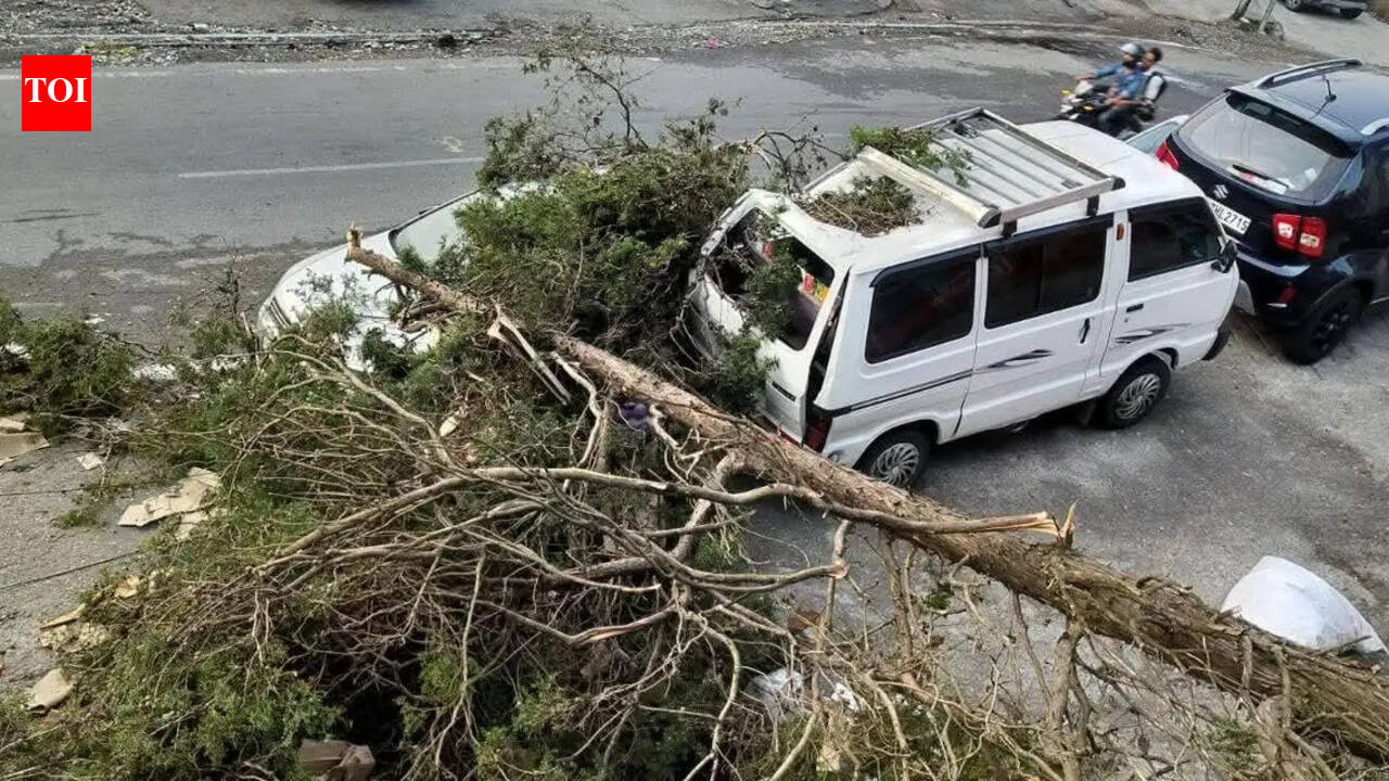 Storm uproots trees, damages buildings in Mussoorie and Dehradun