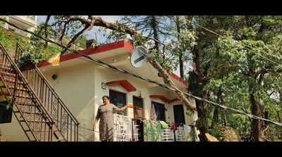Storm uproots trees, damages buildings in Mussoorie and Dehradun