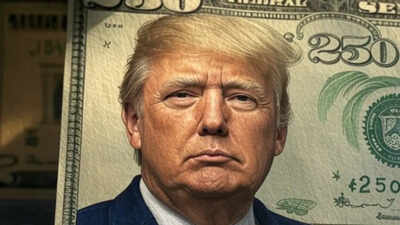 A Note of Discord: US divided on proposed Donald Trump $250 bill