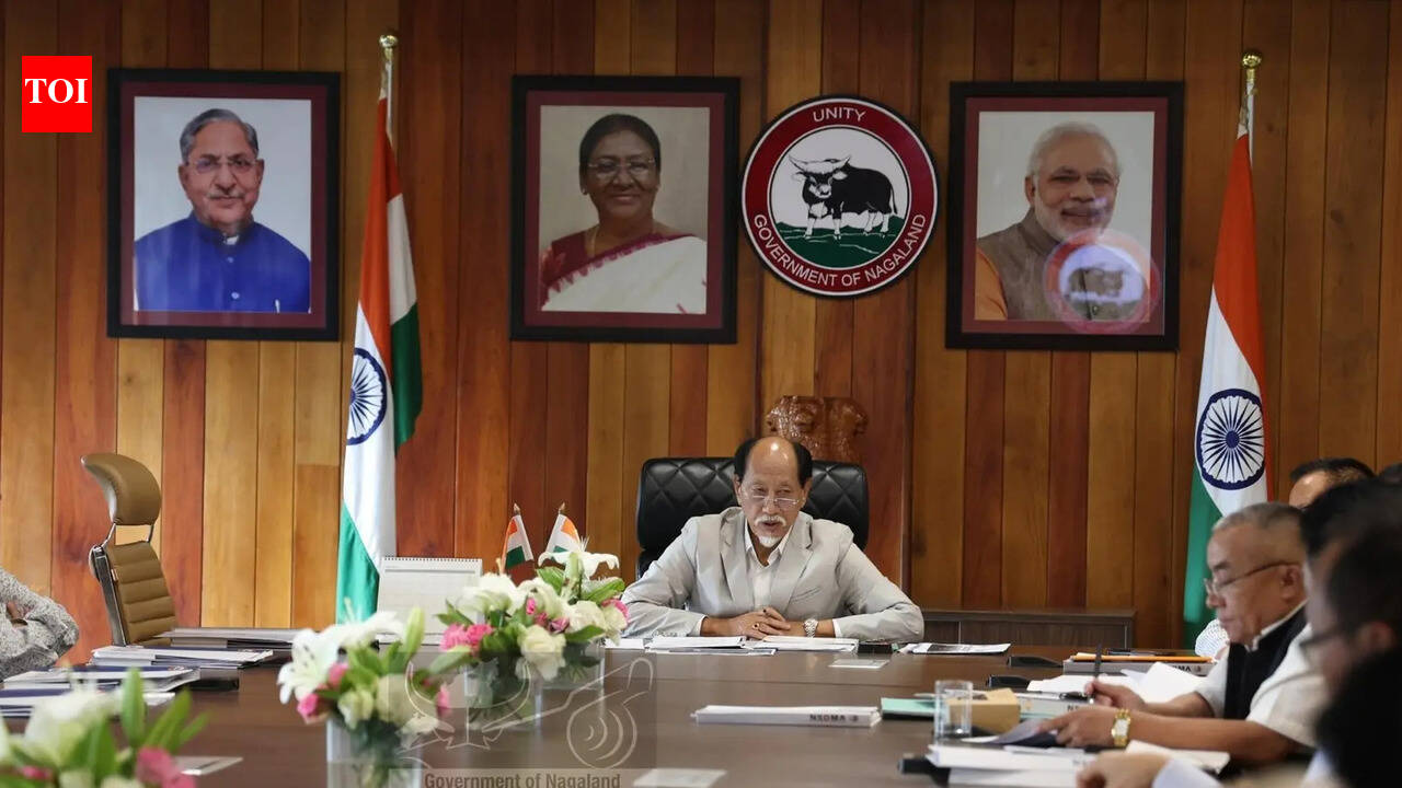 Nagaland reviews monsoon preparedness