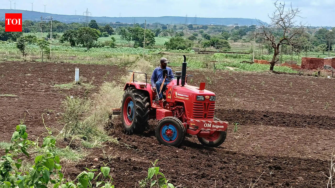 AP govt steps in to stabilise commodity prices, readies Kharif action plan