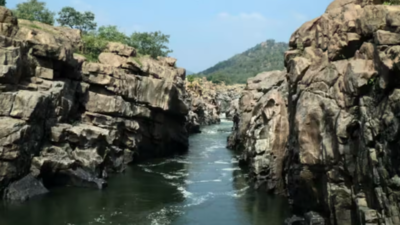 Tamil Nadu govt moves NGT against Karnataka's proposed Mekedatu dam