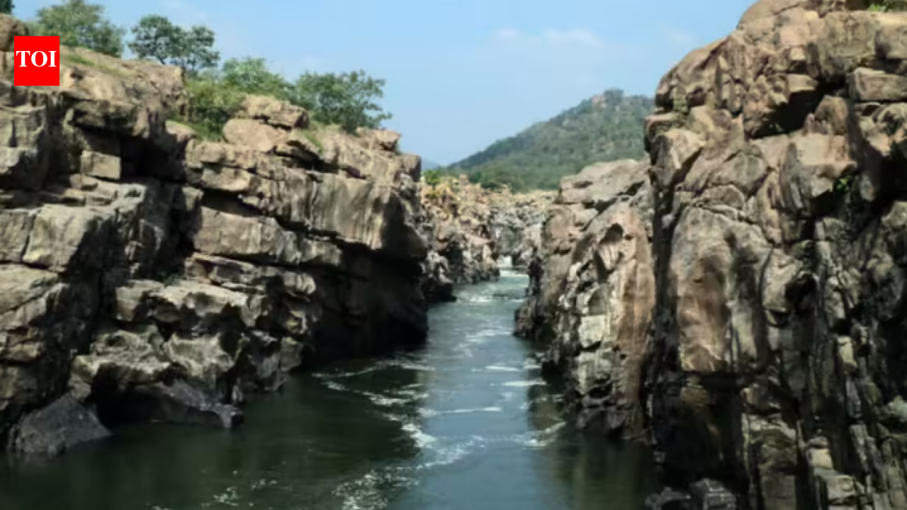 Tamil Nadu govt moves NGT against Karnataka's proposed Mekedatu dam