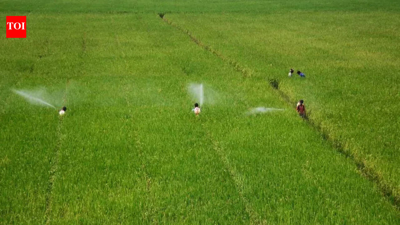 Bathinda, Mansa farmers learn eco-friendly pest control