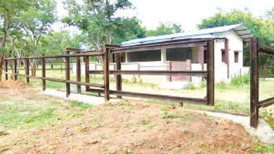 Rs 2 crore Budipadaga elephant camp remains underutilised