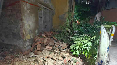 2 die, 65 trees topple as gusty winds leave trail of destruction in its tail across city
