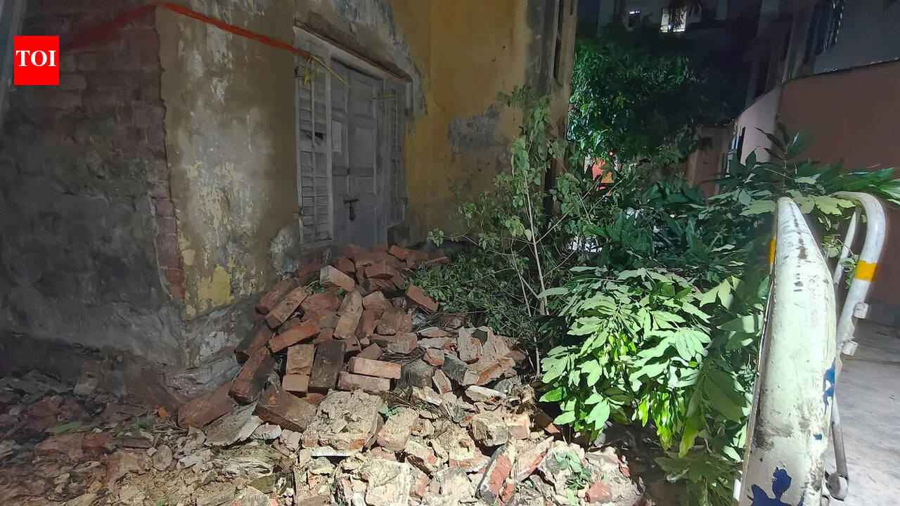 2 die, 65 trees topple as gusty winds leave trail of destruction in its tail across city