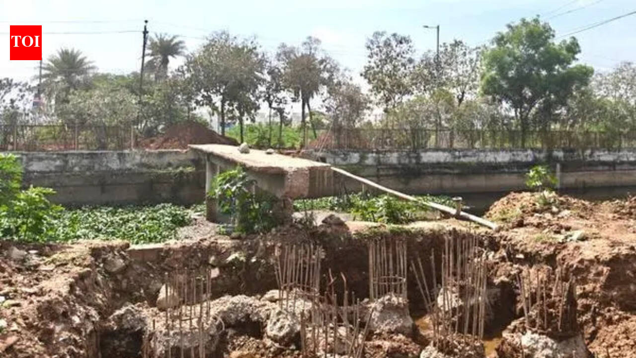Projects to use vacant space below bridges fall flat in Trichy