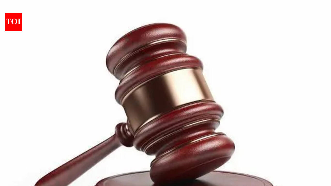 ‘Classic’ dowry harassment case: Delhi court rejects NRI husband’s bail plea