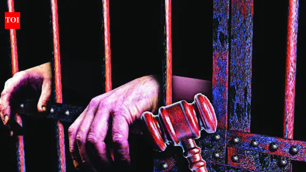 US federal court sends man from Gujarat to 10 years in prison without parole in minor trafficking case