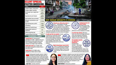 Ahmedabad’s new reality: Dengue not a seasonal outbreak, but a permanent threat