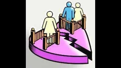 Husband’s bigamy is emotional domestic violence for wife, court rules