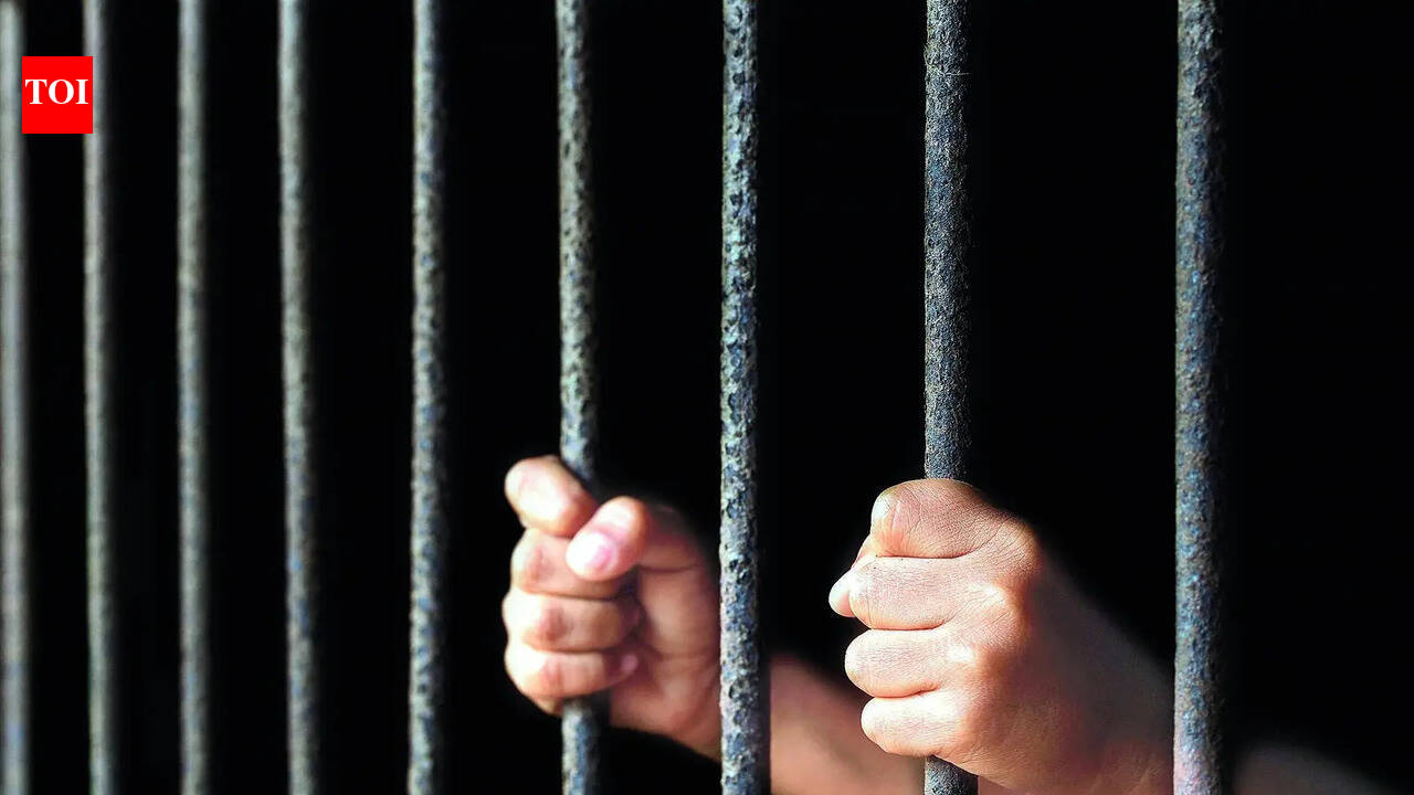 US minor sex trafficking case: Gujarat woman watched minors being abused live on hidden hotel cameras