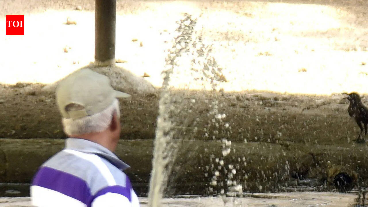 Zoo animals in Ahmedabad and Gandhinagar put on intense hydration therapy