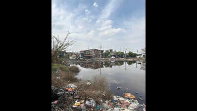 NGT forms joint panel to probe violation claims against Faridabad electroplating units, waste treatment plant