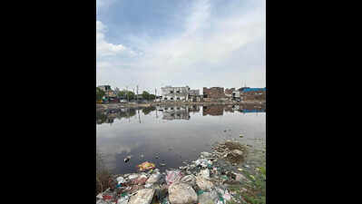 NGT forms joint panel to probe violation claims against Faridabad electroplating units, waste treatment plant