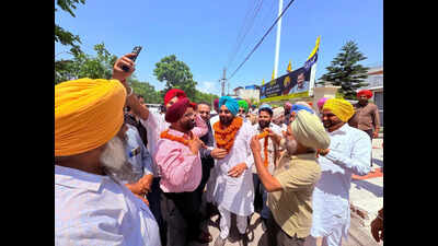 AAP sweeps over 50% seats in Mohali civic polls