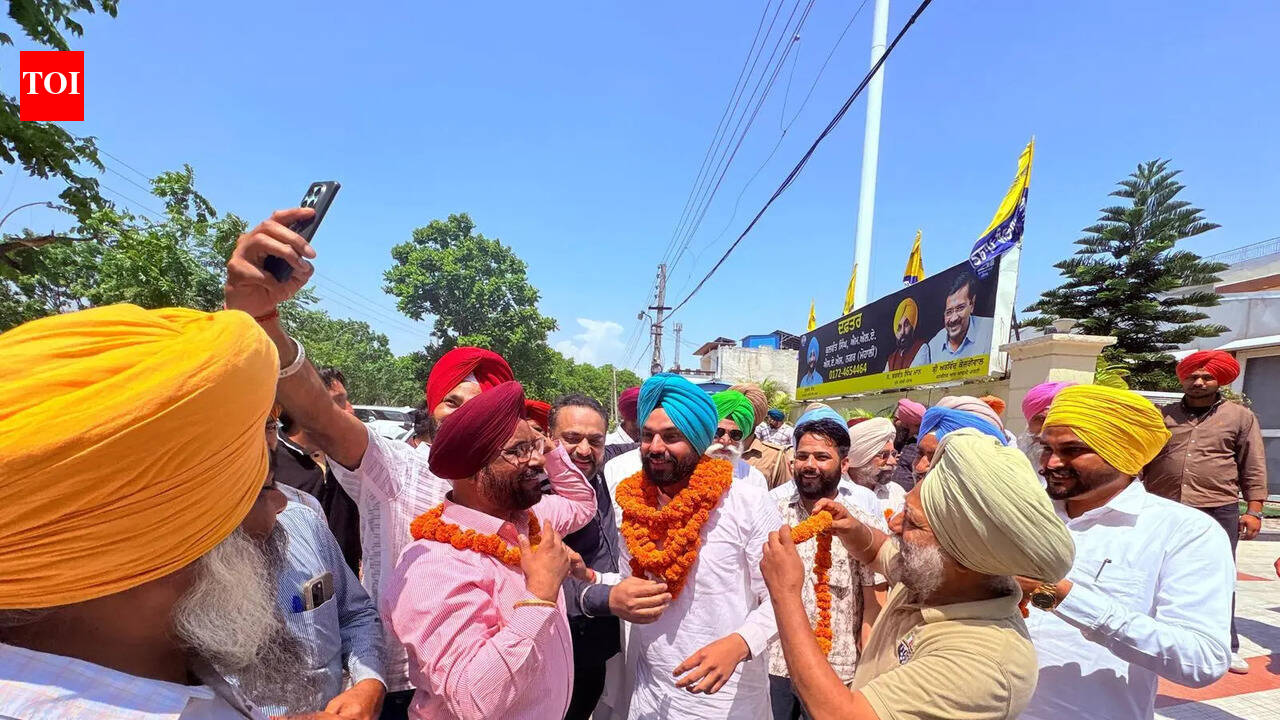 AAP sweeps over 50% seats in Mohali civic polls