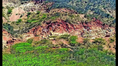 Govt plans 5-hectare plantation drive, but where’s the land, ask experts