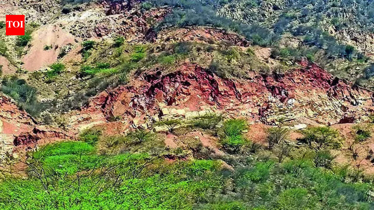 Govt plans 5-hectare plantation drive, but where’s the land, ask experts