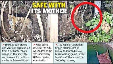 Tiger cub rescued from Bhandara well, reunited with mother