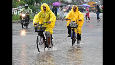 Monsoon 2026 may stay below normal across most of Maharashtra: IMD