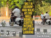 &lsquo;This is Nawabi Pro Max&rsquo;: Lucknow man rides scooter while dog takes the walk; internet calls it peak nawabi energy