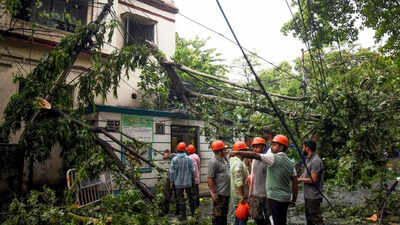  8 dead, trees uprooted, flight ops hit