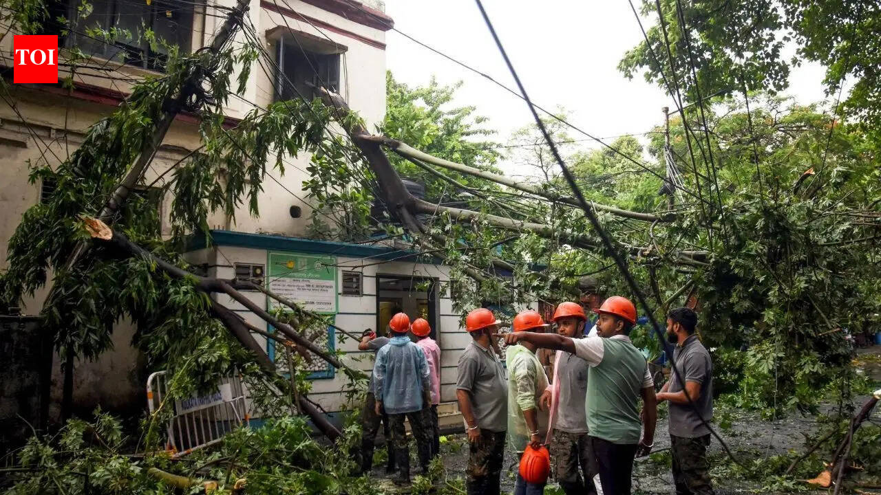 Rain brings trail of destructions across West Bengal: 8 dead, trees uprooted, flight ops hit