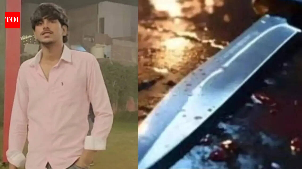 'Bakra halal hote dekha hai, aao dikhate hain ... ': Ghaziabad teen stabbed to death