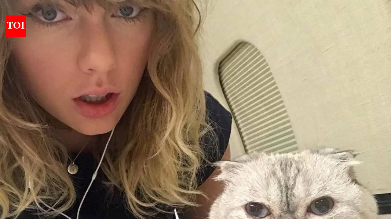inside-taylor-swift-s-love-for-cats