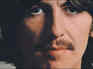 Quote of the day by George Harrison