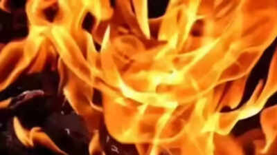 9 rescued as fire breaks out at cooler grass factory in Delhi