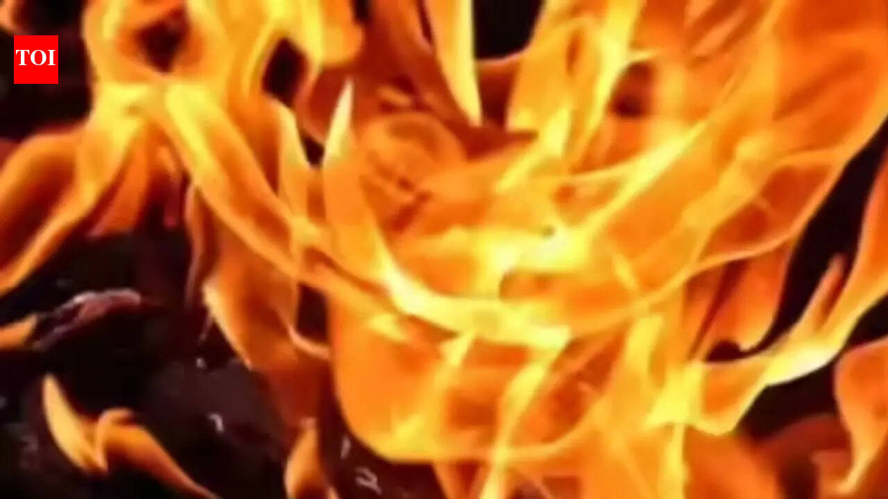 9 rescued as fire breaks out at cooler grass factory in Delhi