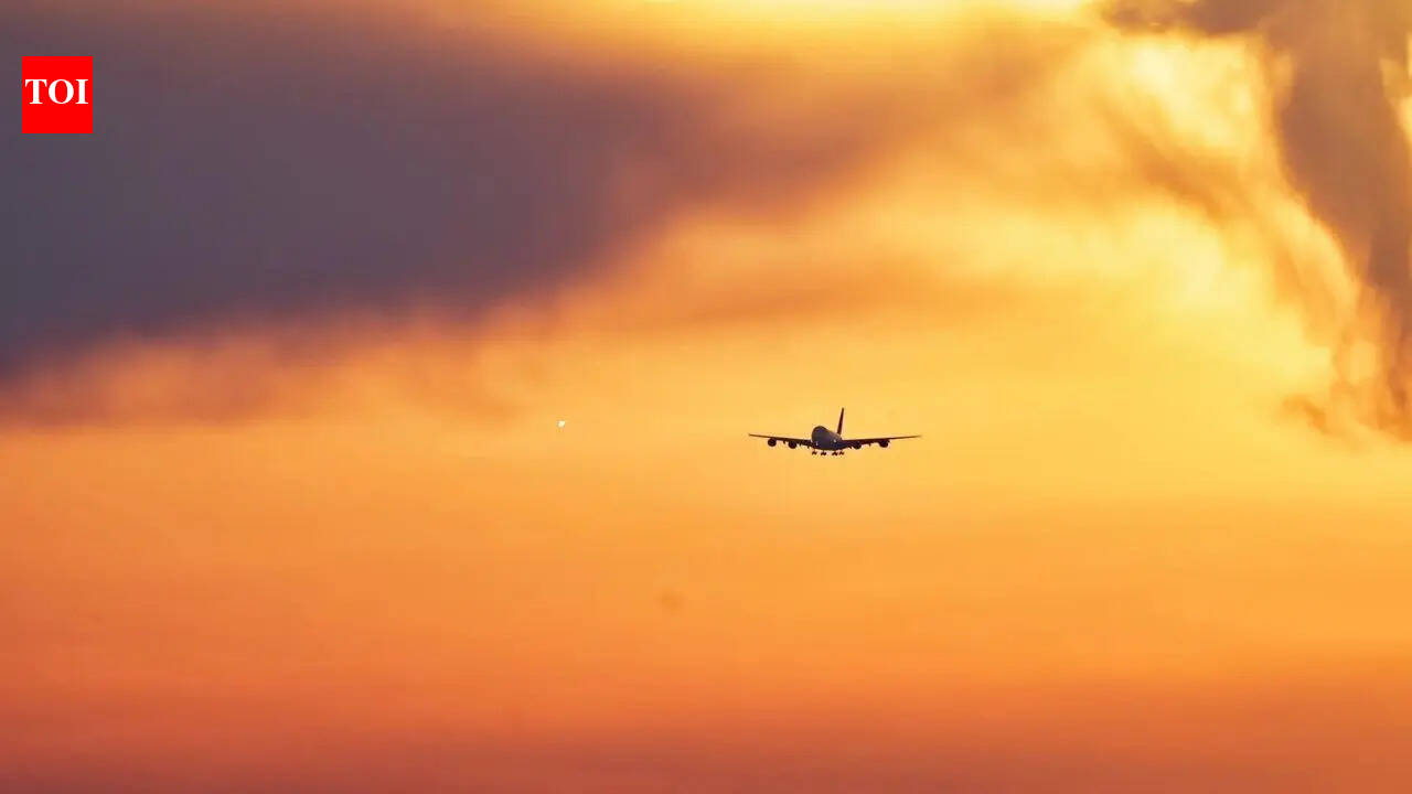 Munich Airport temporarily shut over drone sighting - what we know so far