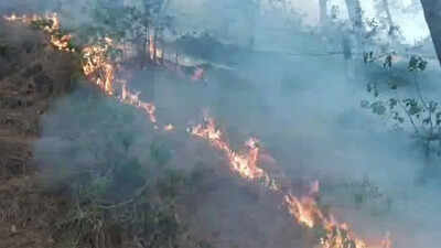 J&K: Days-long forest fires ravage Rajouri, wildlife enters residential areas